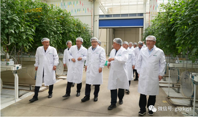 大興調研 | 雷鐵一行赴張掖、金昌、武威調研