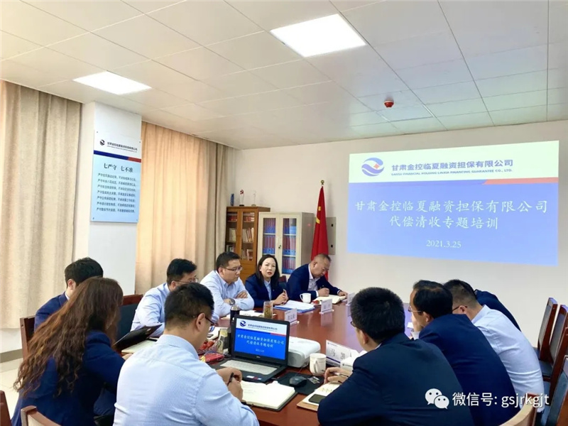 甘肅金控臨夏擔保公司開展代償清收專題培訓